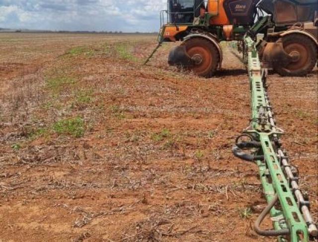 Unidade Três Lagoas Scheffer